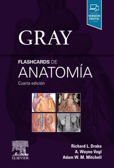 GRAY FLASHCARD DE ANATOMÍA